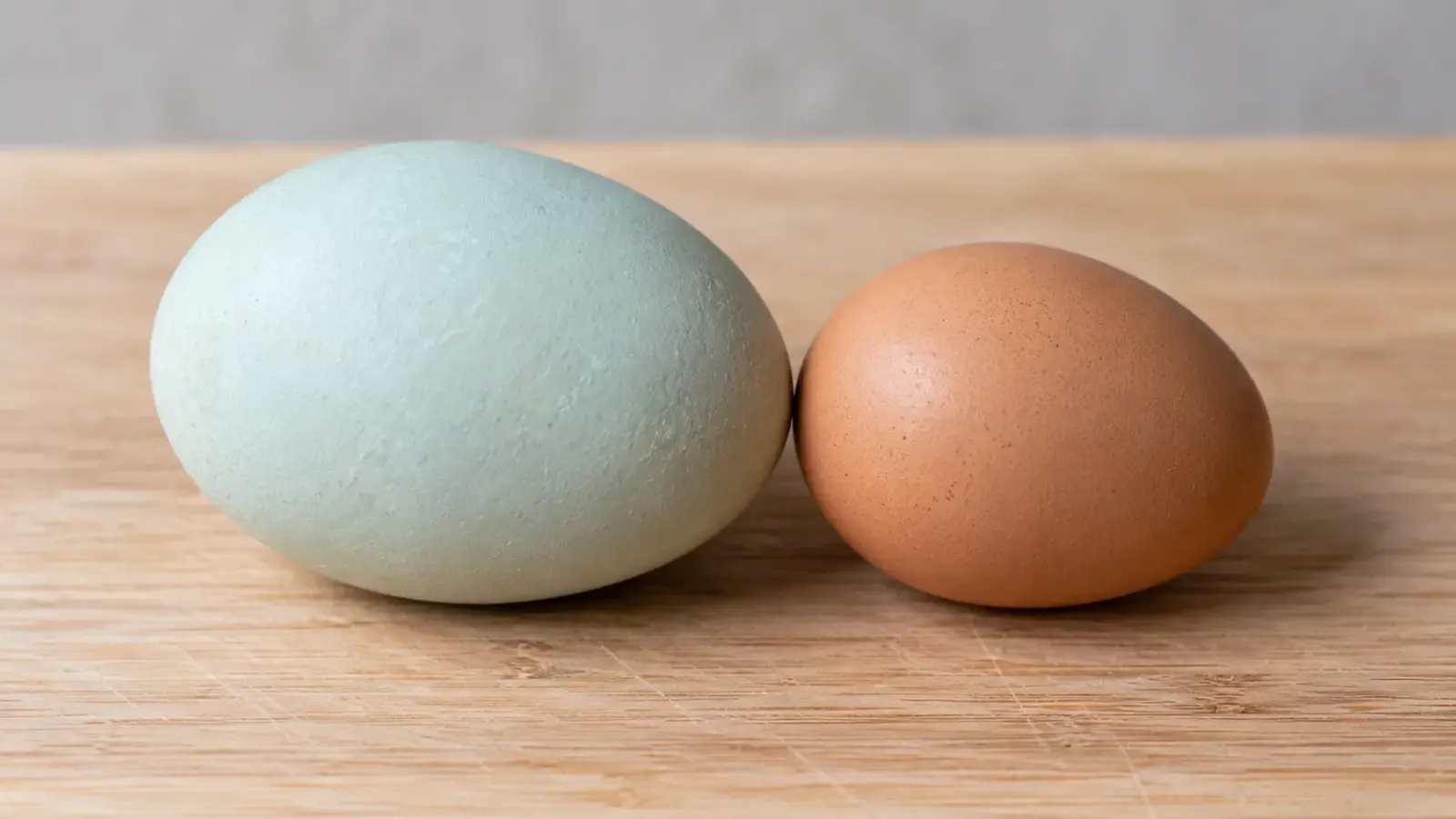 A large pale blue duck egg beside a smaller brown chicken egg on a wooden board_result