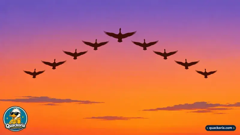 Why Do Ducks Fly in a V? What the Research Actually Shows