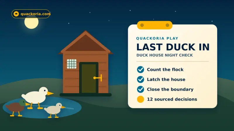 Last Duck In — Duck House Night Check